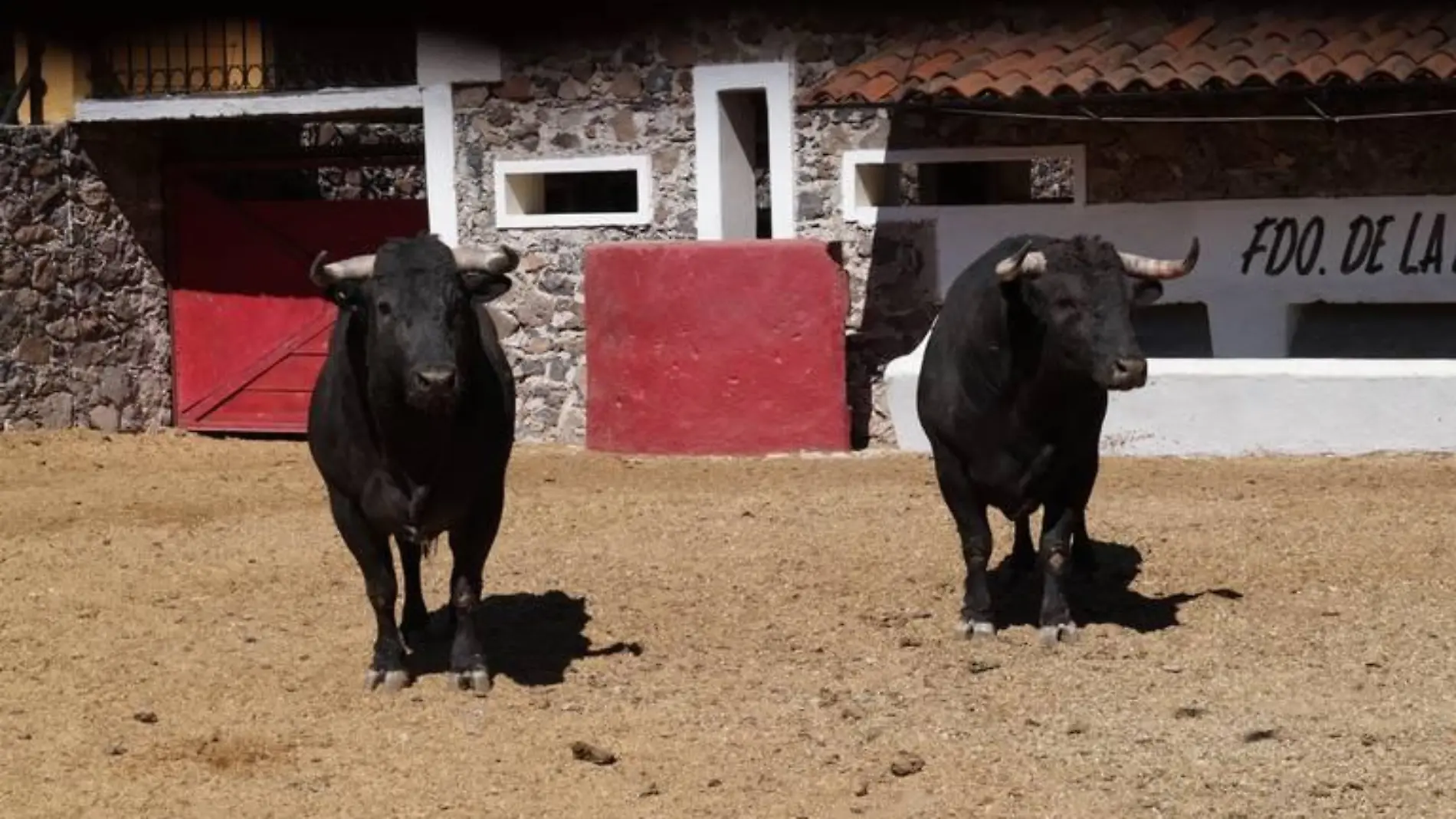 Feria del Toro 1